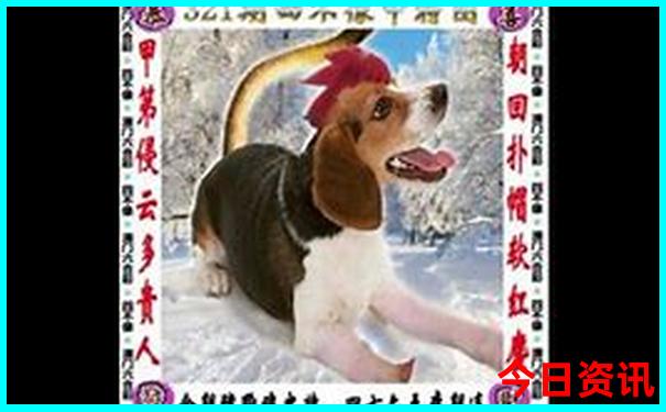 承德避暑山庄有什么景点